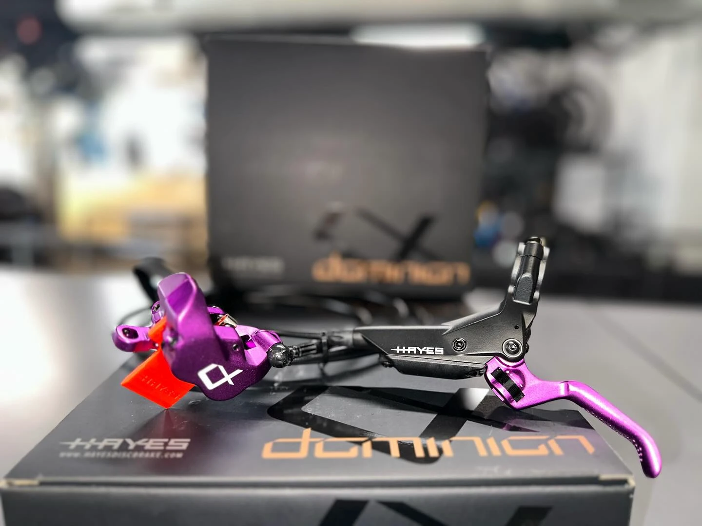 3. NOU! Frana HAYES Dominion A4 purple limited edition