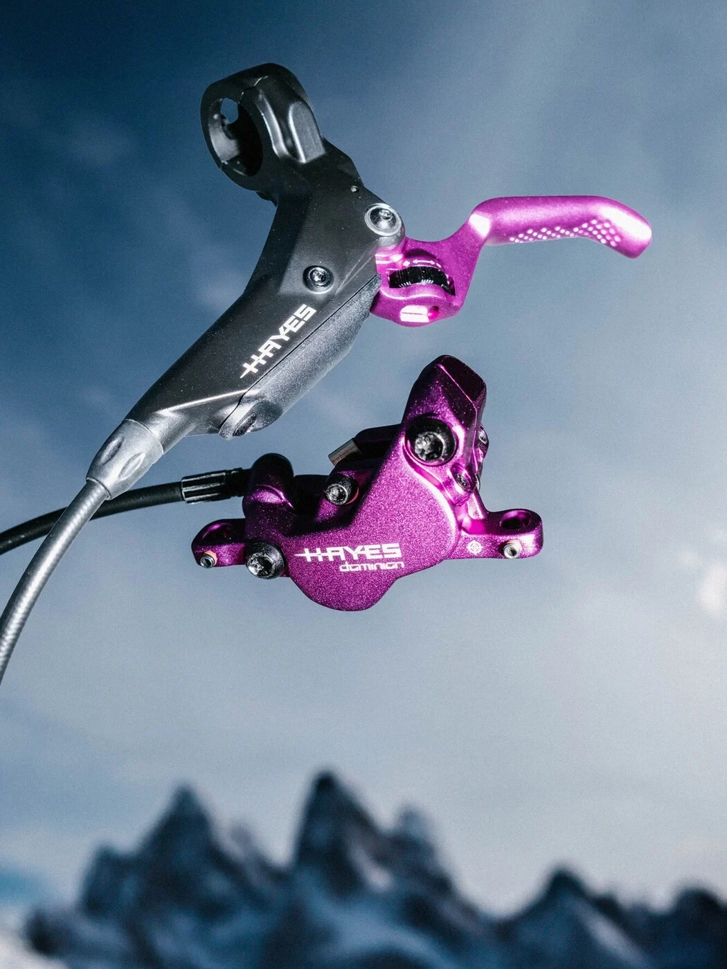 2. NOU! Frana HAYES Dominion A4 purple limited edition