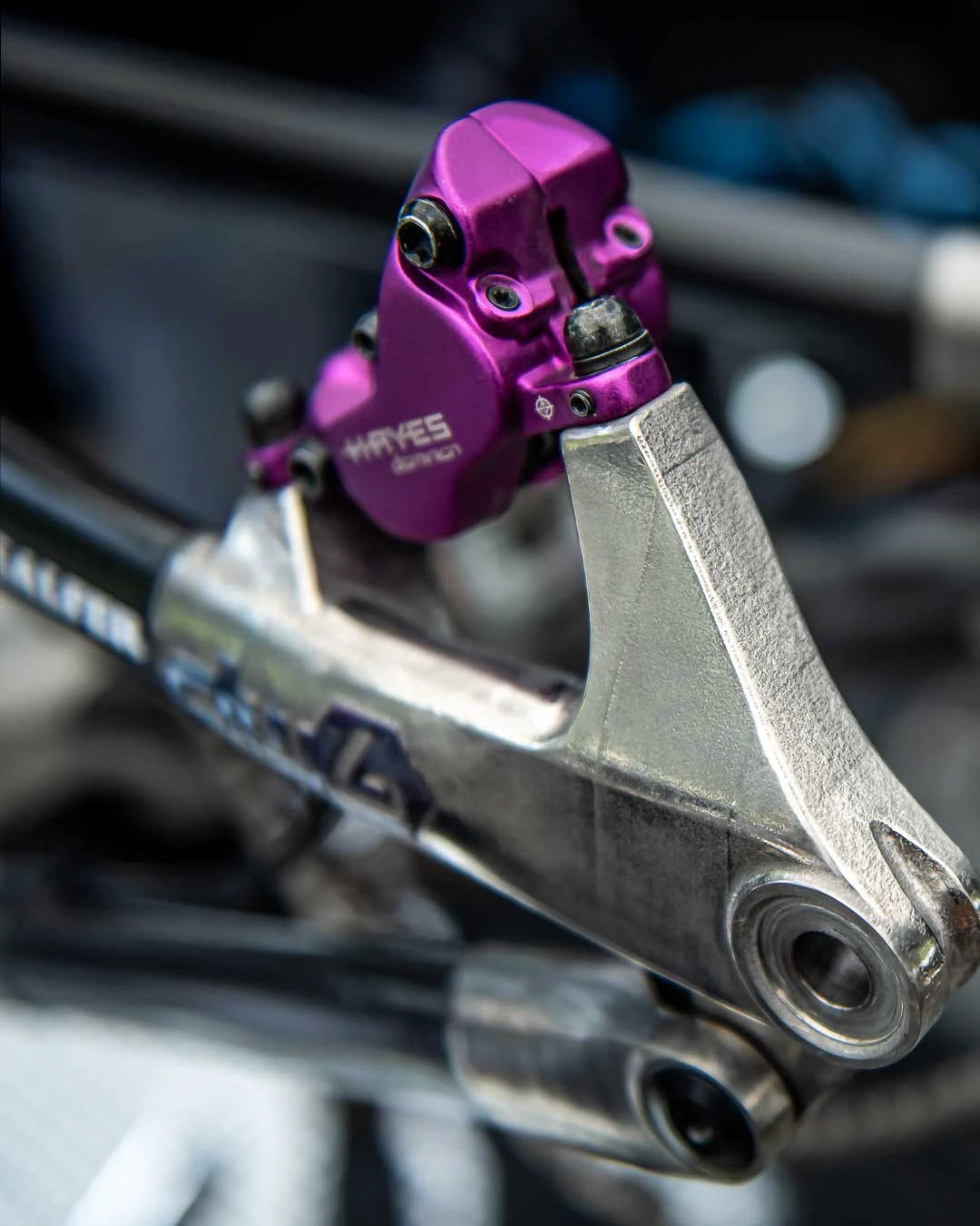 7. NOU! Frana HAYES Dominion A4 purple limited edition