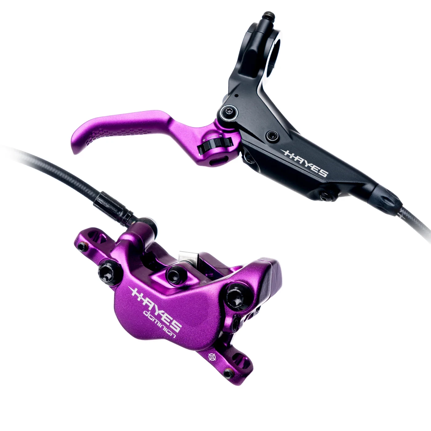 1. NOU! Frana HAYES Dominion A4 purple limited edition