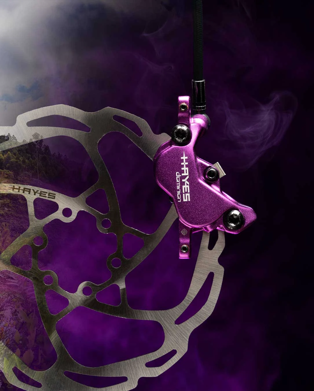 5. NOU! Frana HAYES Dominion A4 purple limited edition