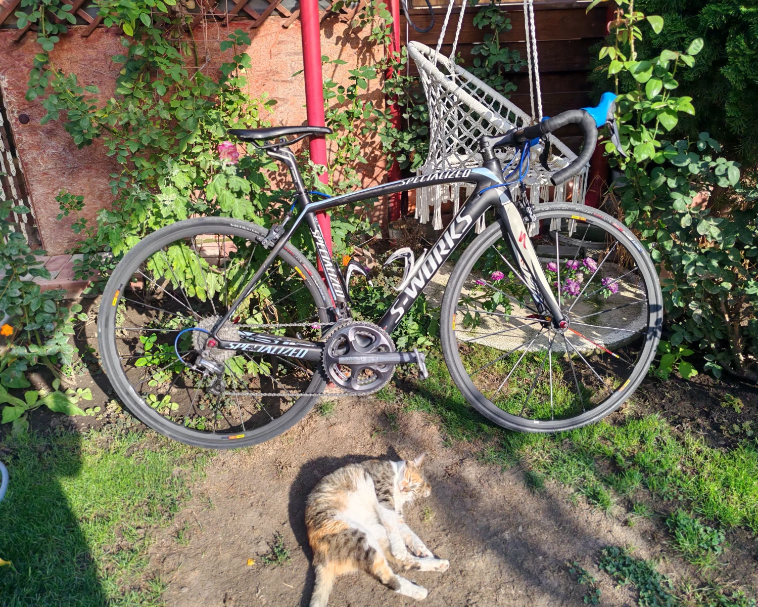 12. Specialized S-Works Tarmac SL4