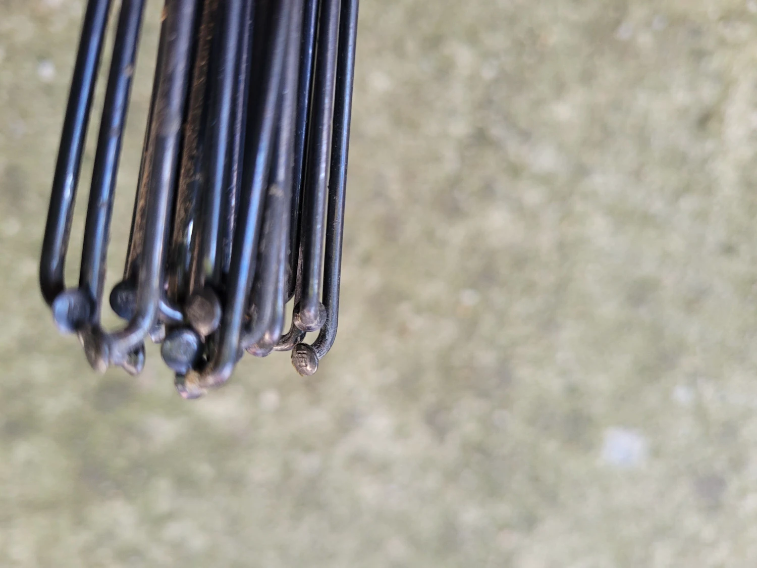 2. Set spite DT Swiss Champion 2mm negru - 296mm - 24buc.