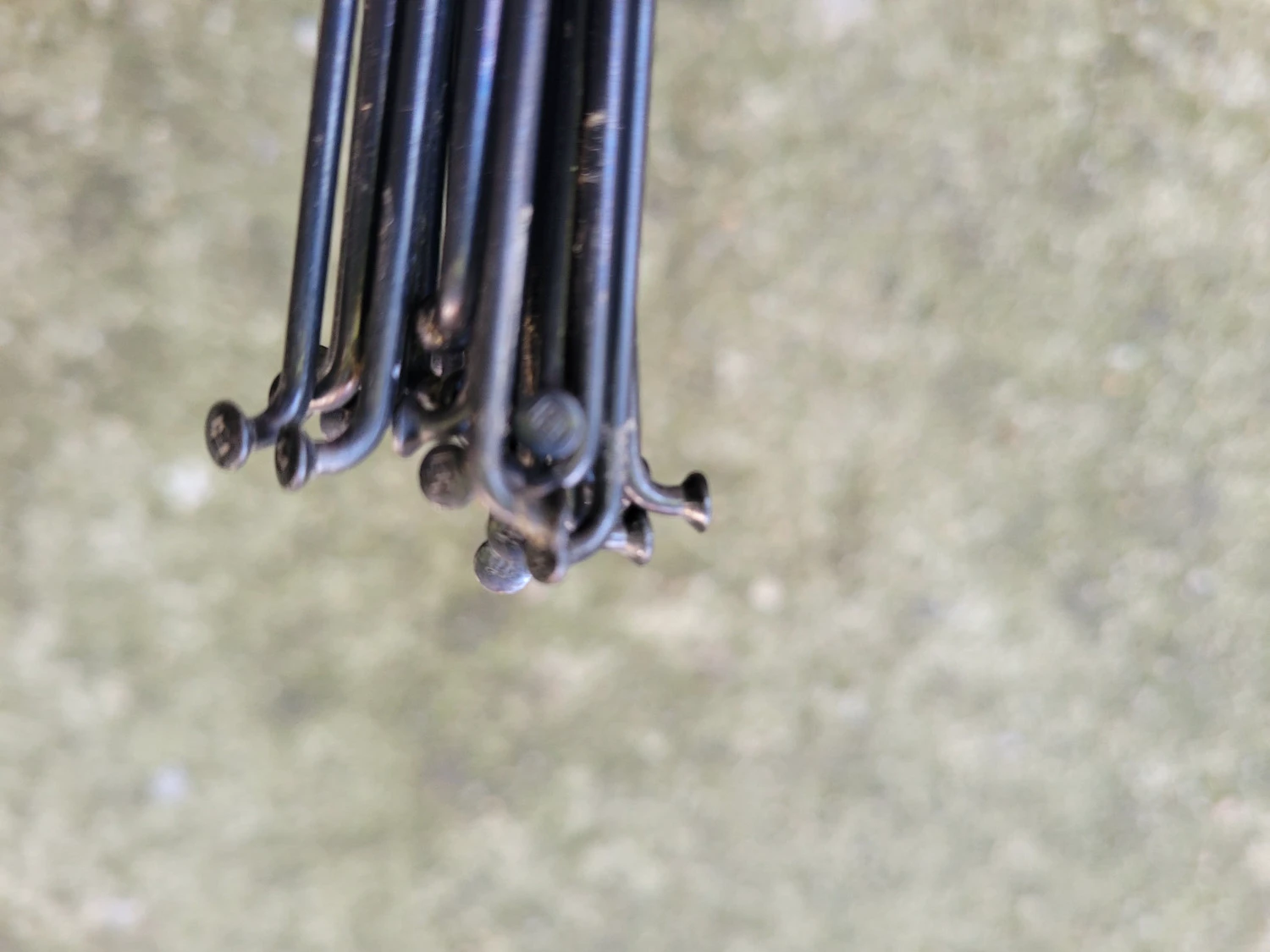 2. Set spite DT Swiss Champion 2mm negru - 292mm - 32buc.