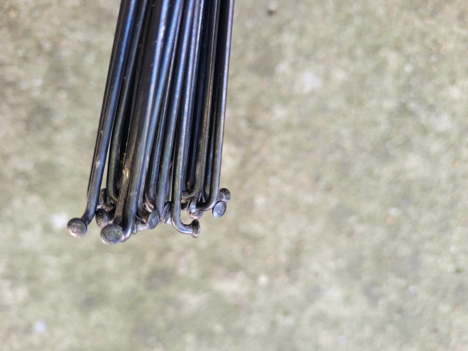 2. Set spite DT Swiss Champion 2mm negru - 290mm - 32buc.