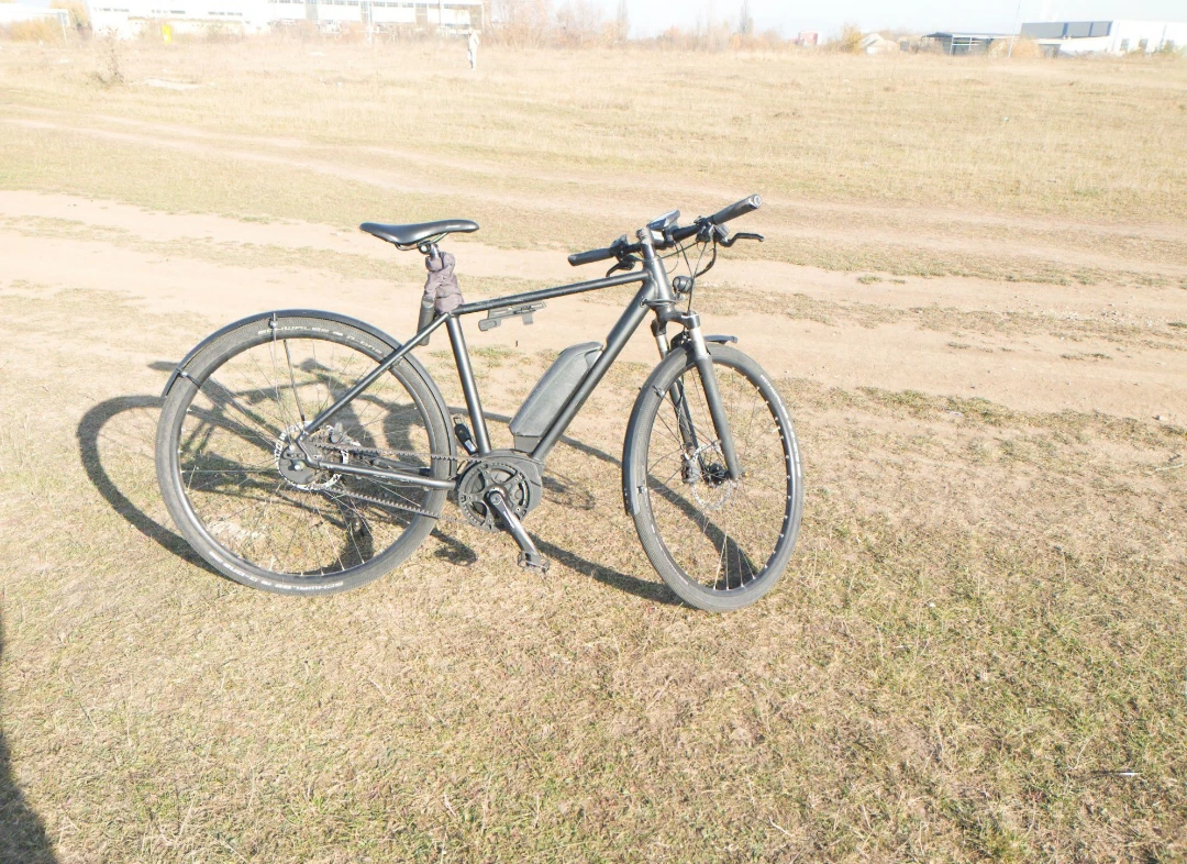 1. Bicicleta electrica Riese Muller Bosch Alfine curea