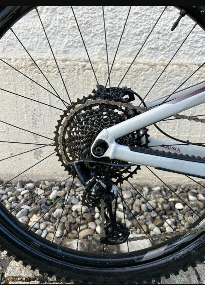 1. Vând Giant reign sx 2021 Fox 38 grip2 dhx2 performance elite