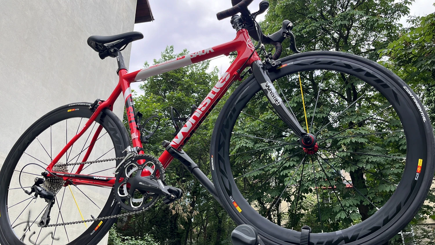 3. Cursiera carbon 54 , 9 kg