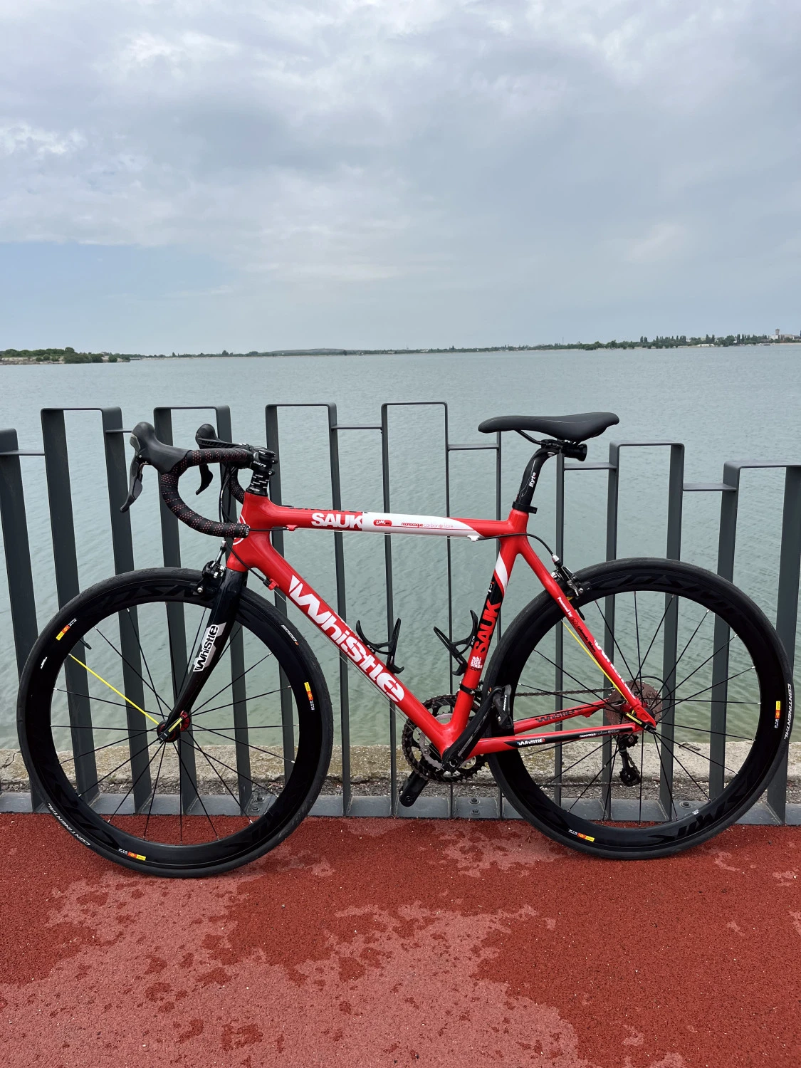 5. Cursiera carbon 54 , 9 kg