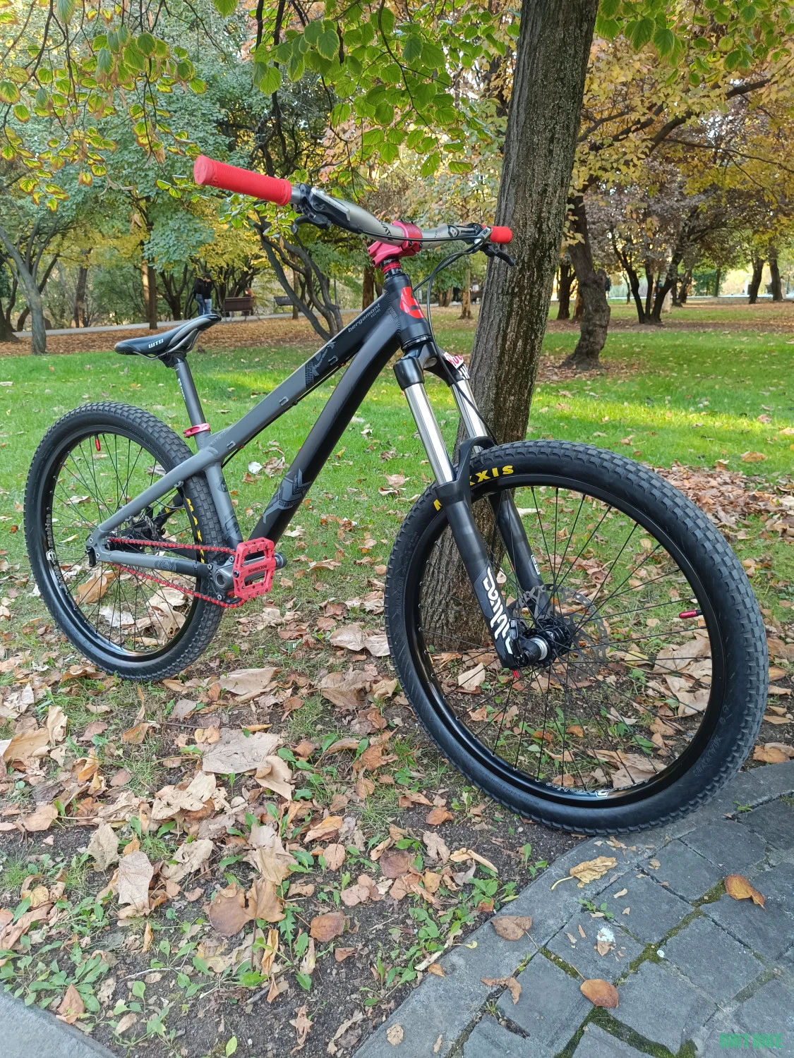 1. Bergamont kiez pro