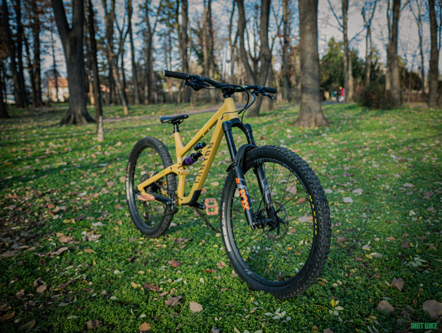 1. Canyon Torque AL6 XL (2022)