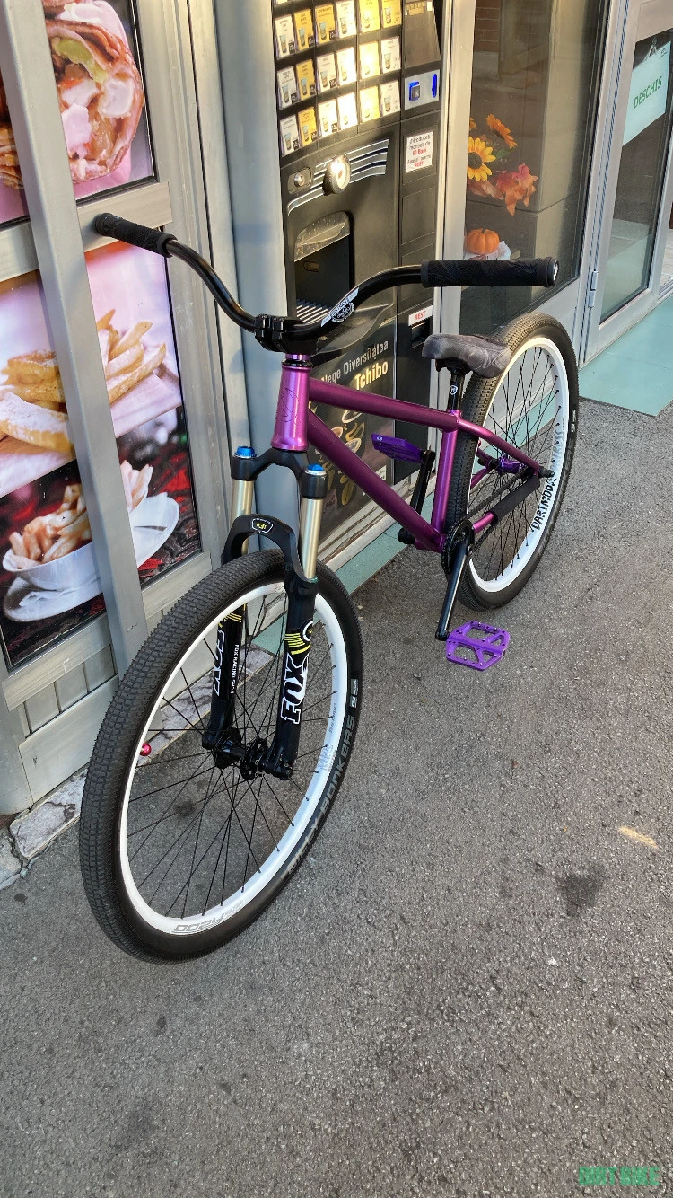1. Dirt jumper pride street