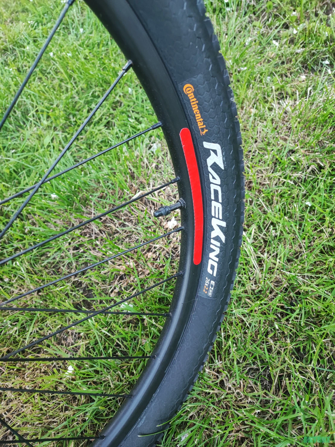17. Merida matts custom