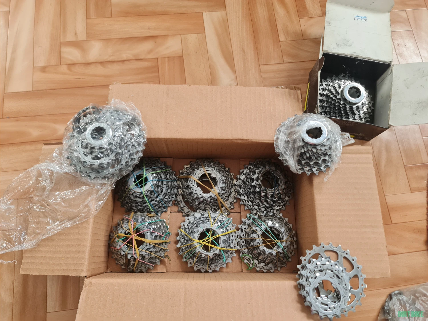 1. Pinioane Campagnolo pentru 10 viteze