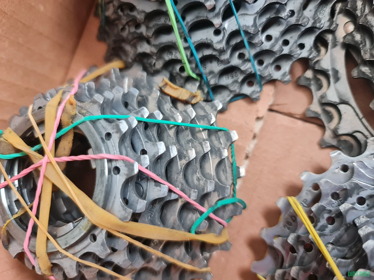 3. Pinioane Campagnolo pentru 10 viteze