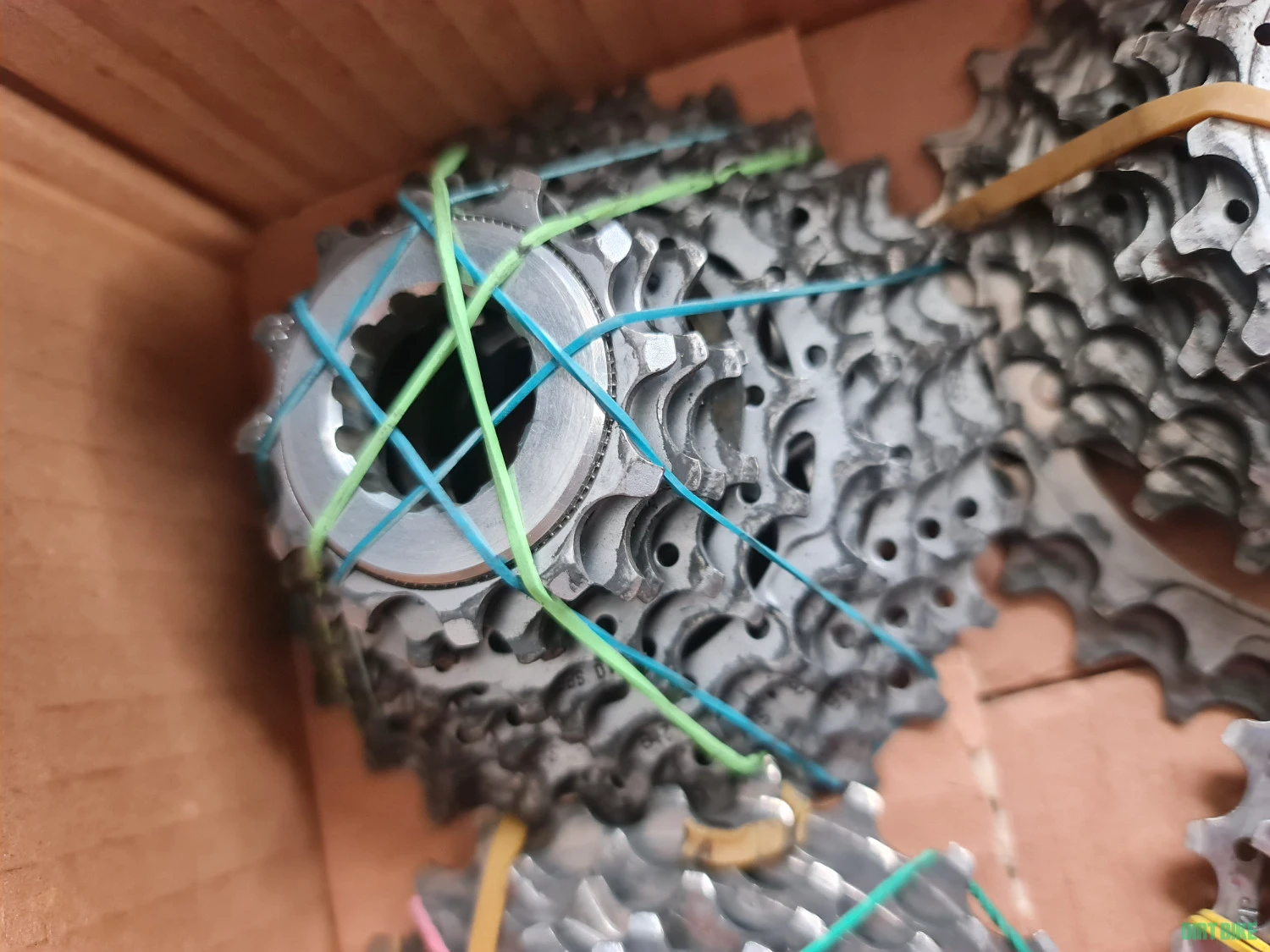 5. Pinioane Campagnolo pentru 10 viteze