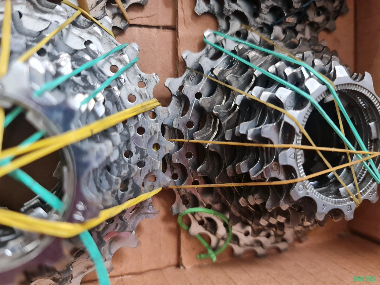 6. Pinioane Campagnolo pentru 10 viteze