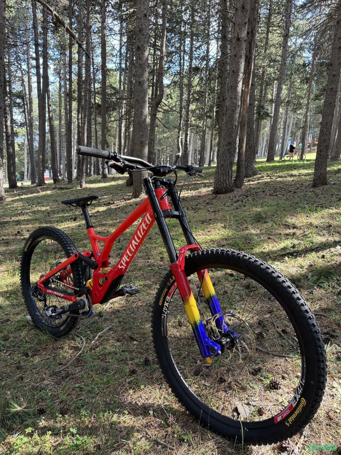 1. Specialized Demo 2024