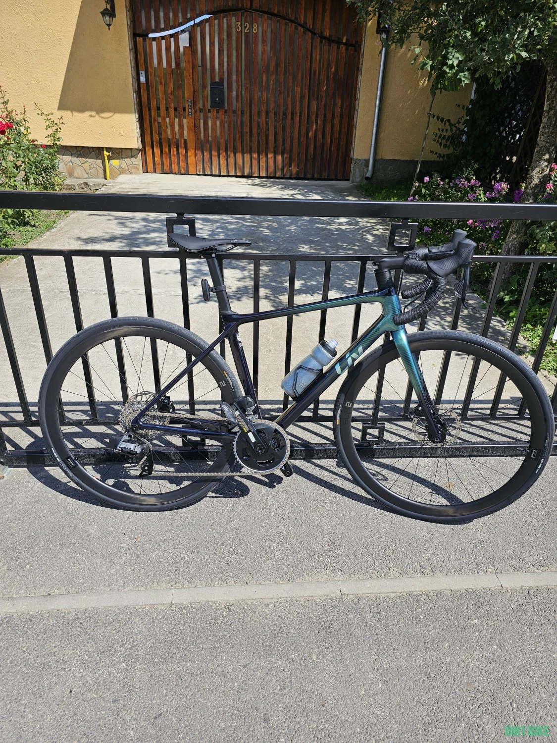 1. Liv Langma Advanced Pro 1 Disc AR