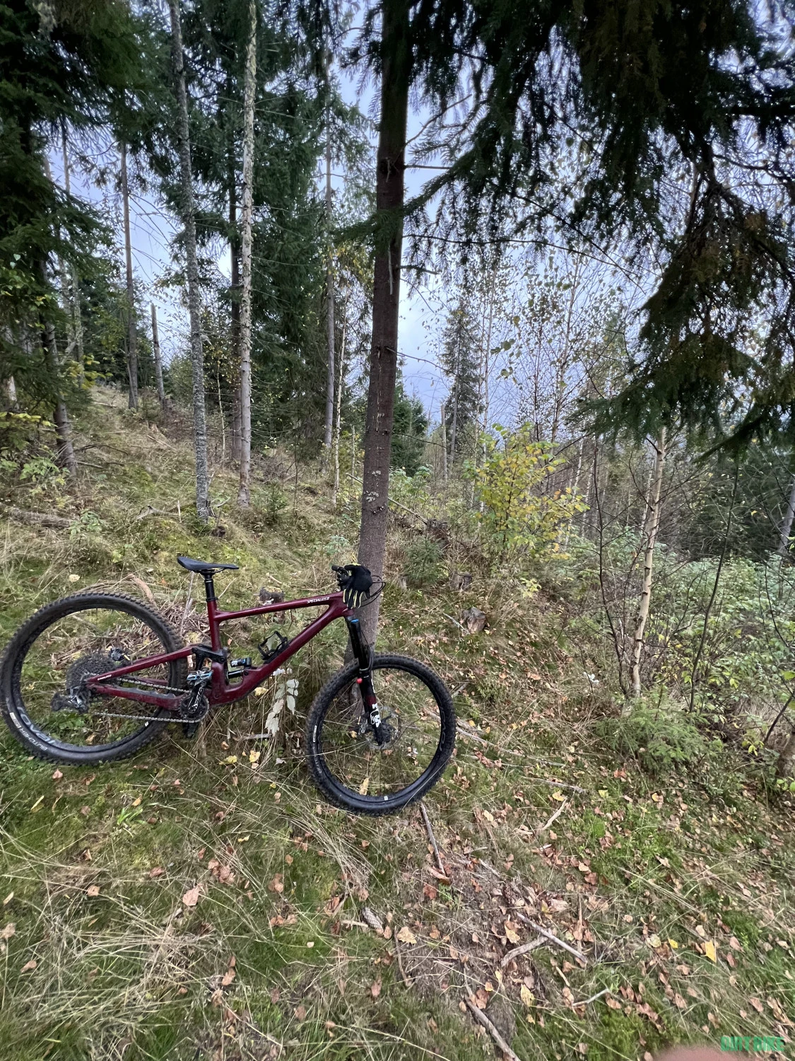 3. Vând Specialized Enduro Expert