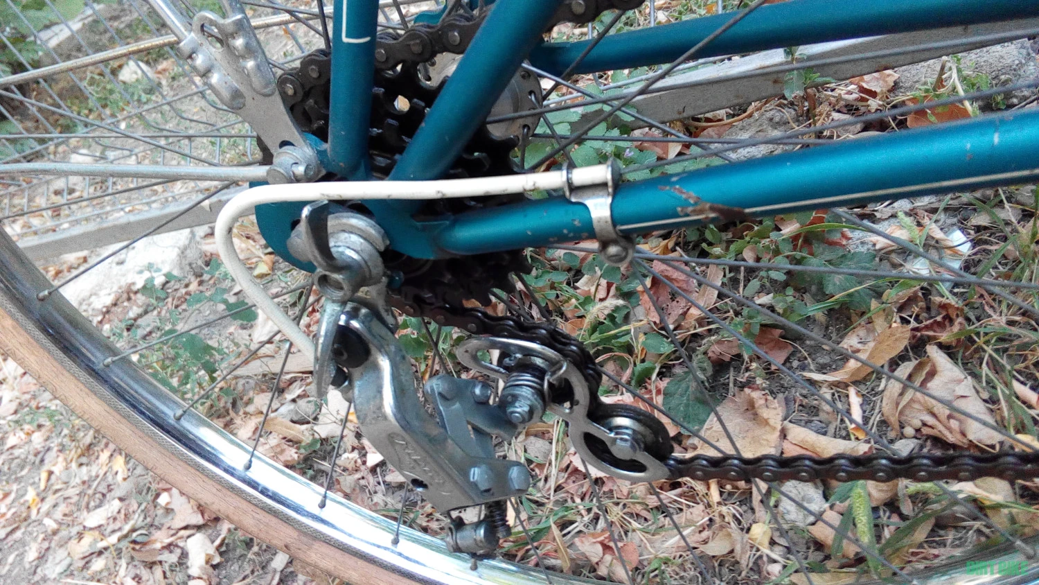 8. Motoconfort dama clasica oras