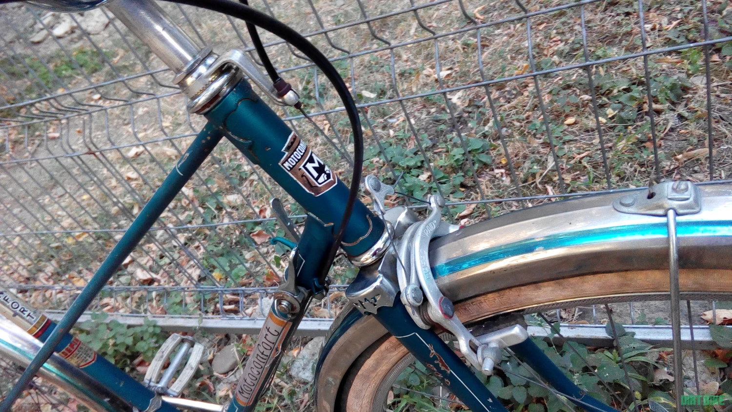 5. Motoconfort dama clasica oras