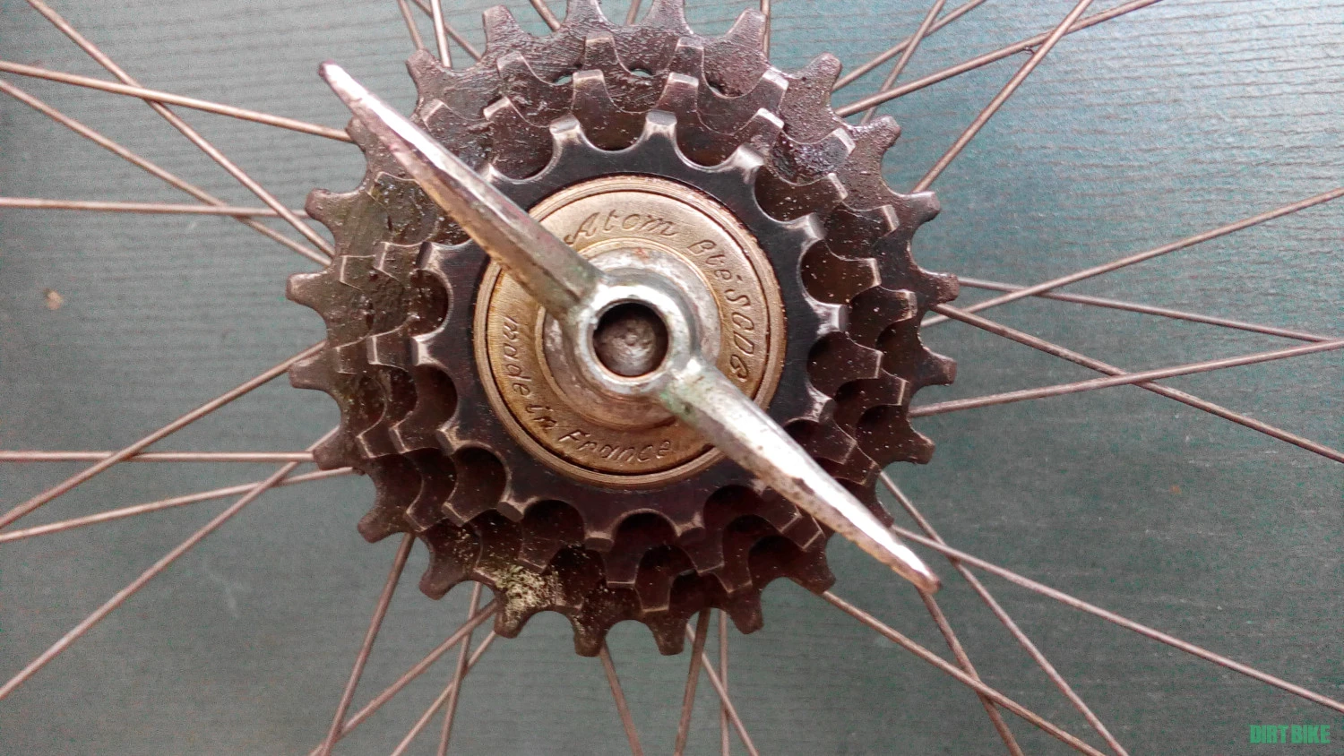 11. Motoconfort dama clasica oras