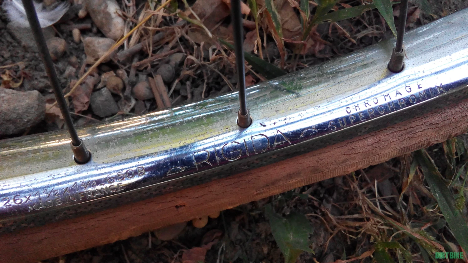 12. Motoconfort dama clasica oras