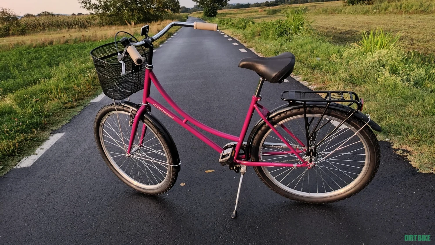 1. Bicicleta City dama