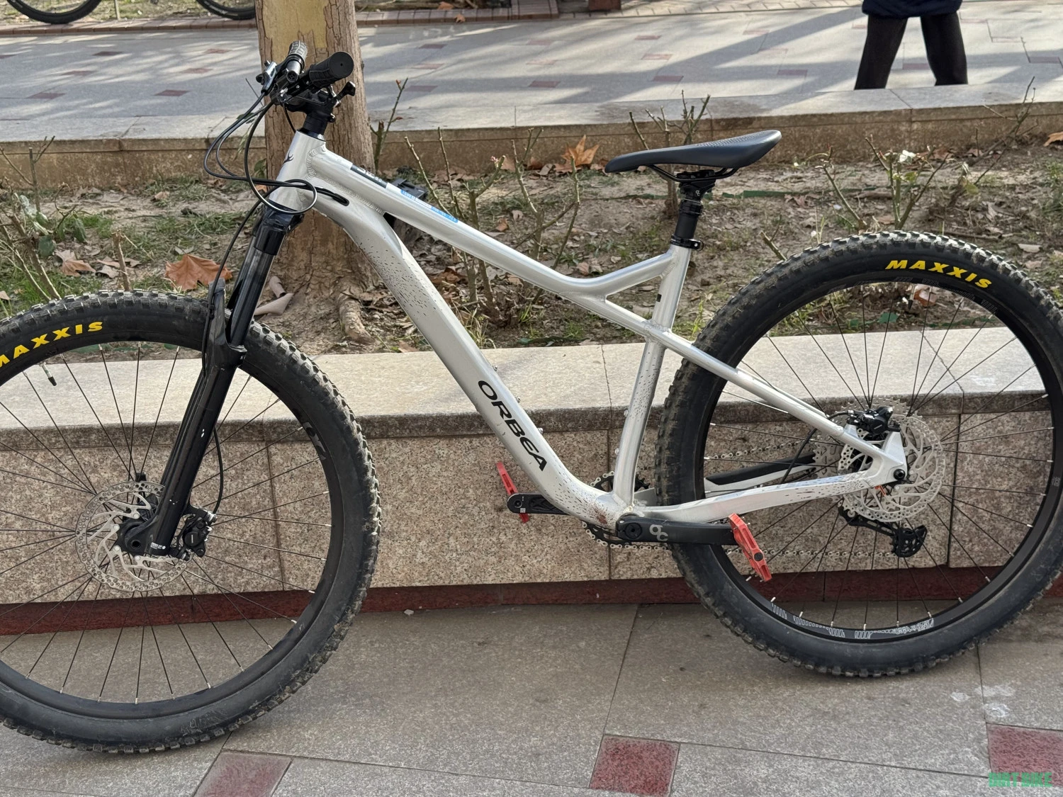 1. Orbea laufey h10