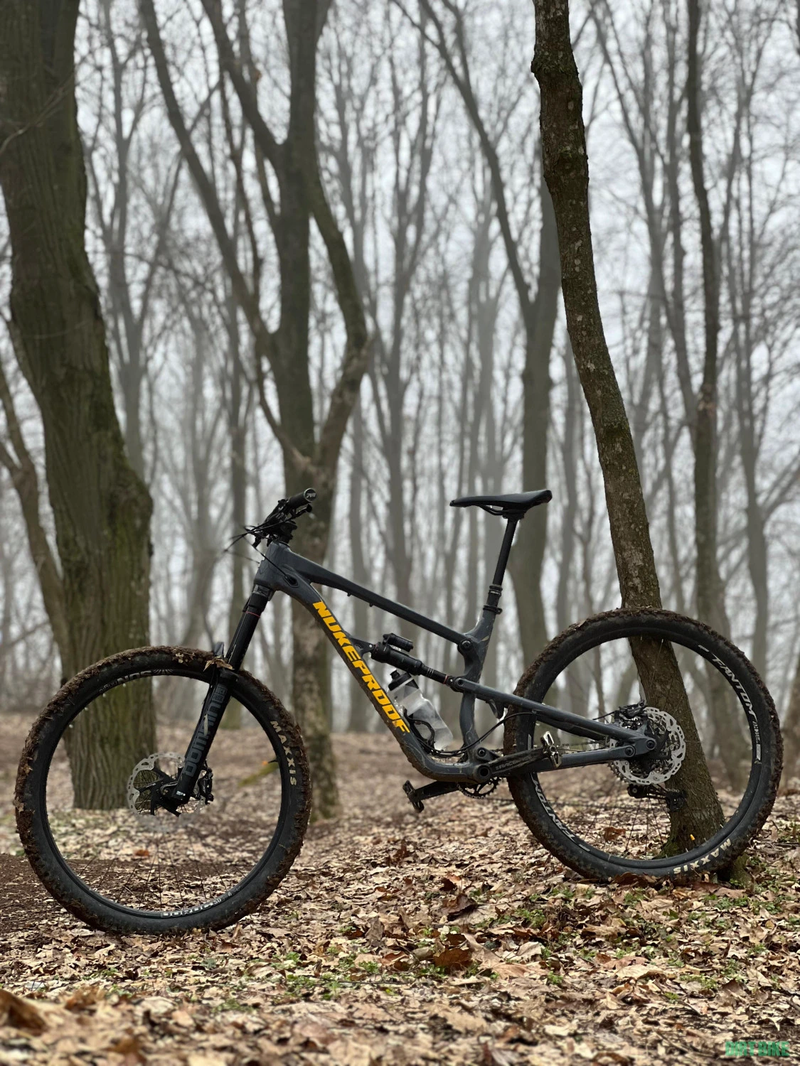 2. Nukeproof Mega 29