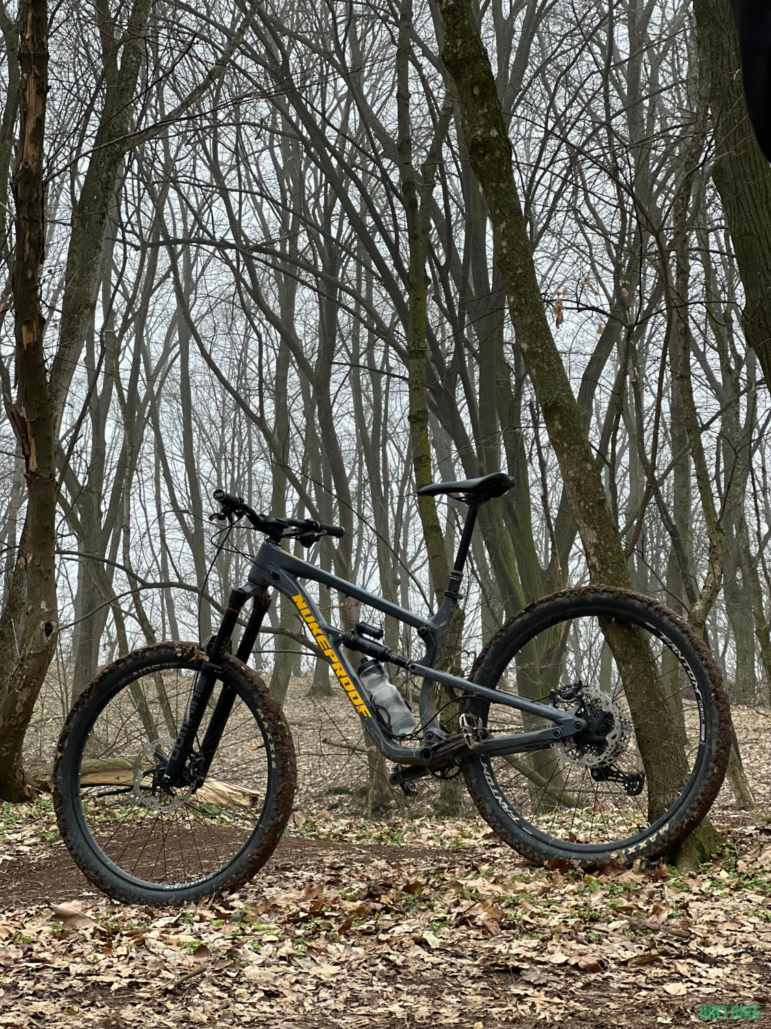 4. Nukeproof Mega 29