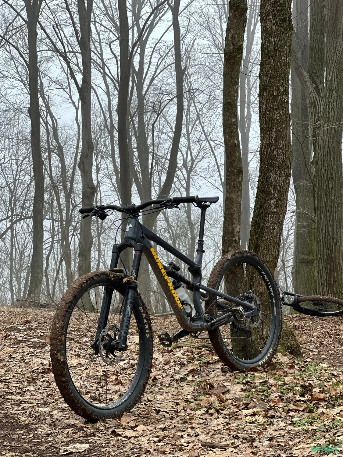 3. Nukeproof Mega 29