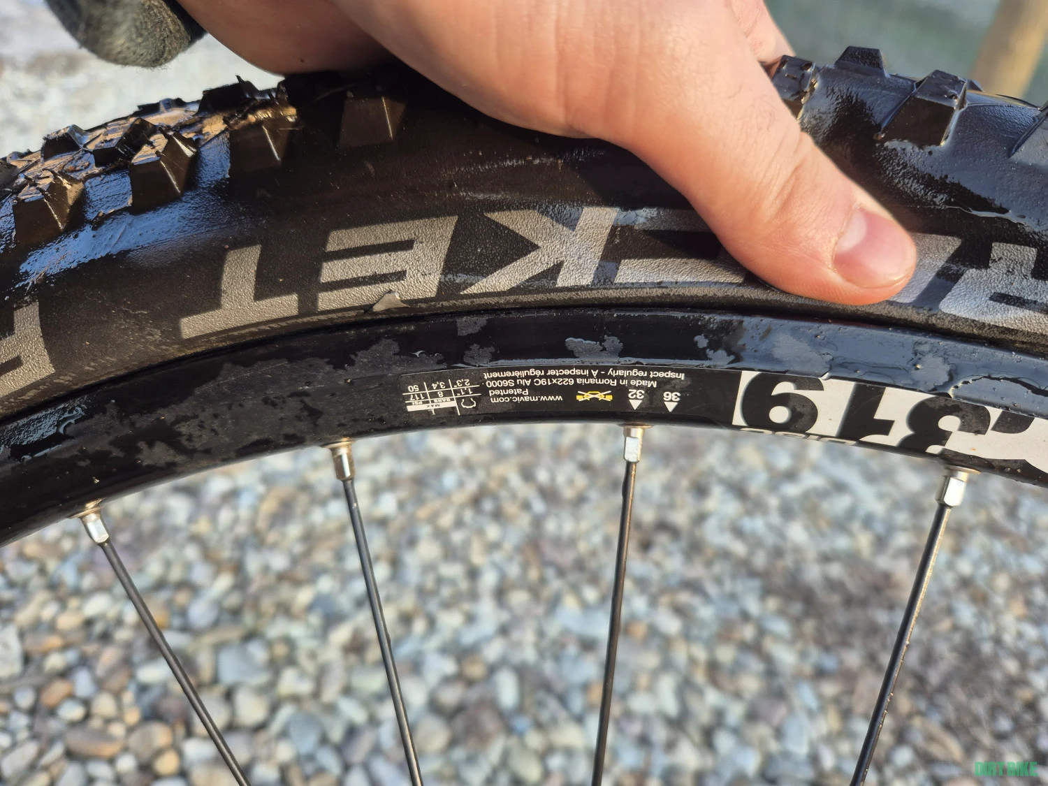 3. Roata 29" spate