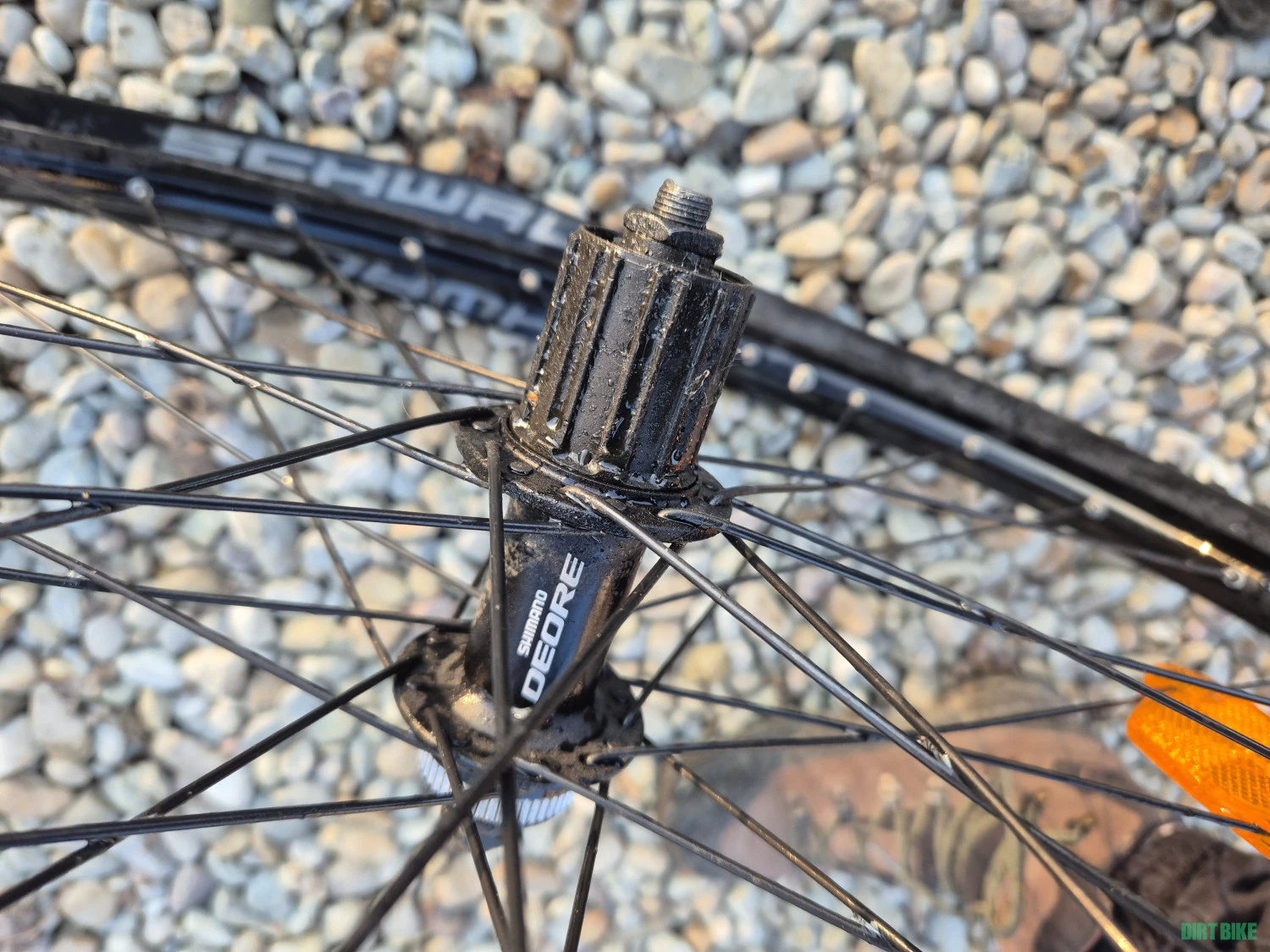6. Roata 29" spate