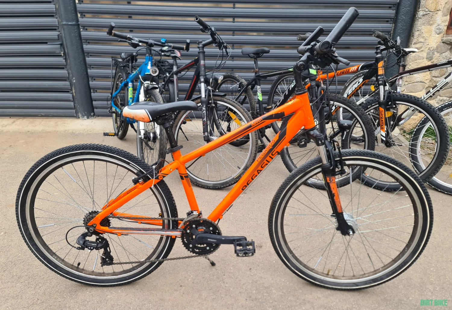1. Bicicleta MTB Pegasus Avanti roti 26"