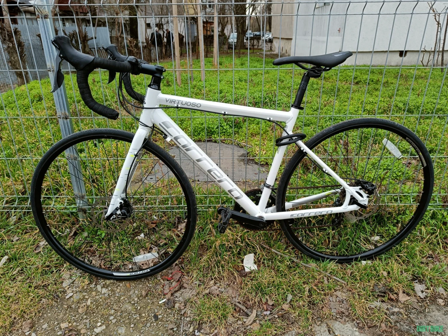 1. Cursiera Carrera
