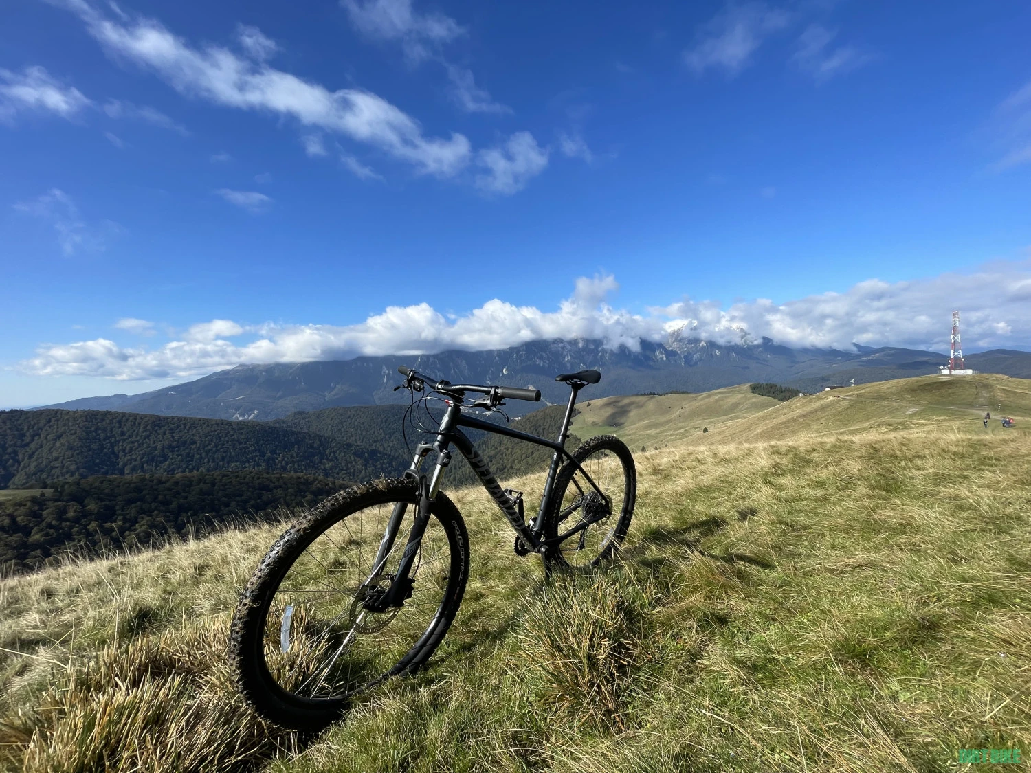 1. Bicicletă Specialized Rockhopper Sport 29″ Cool grey