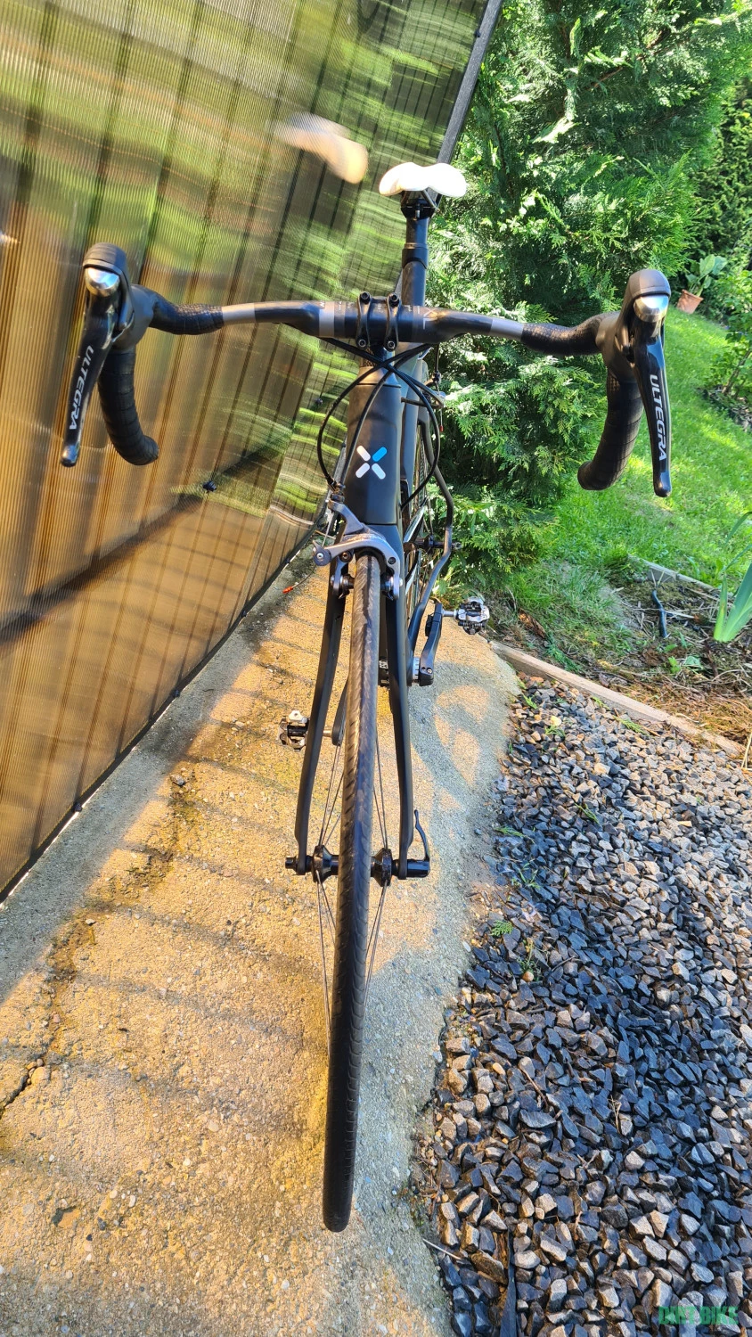 3. Cursiera carbon