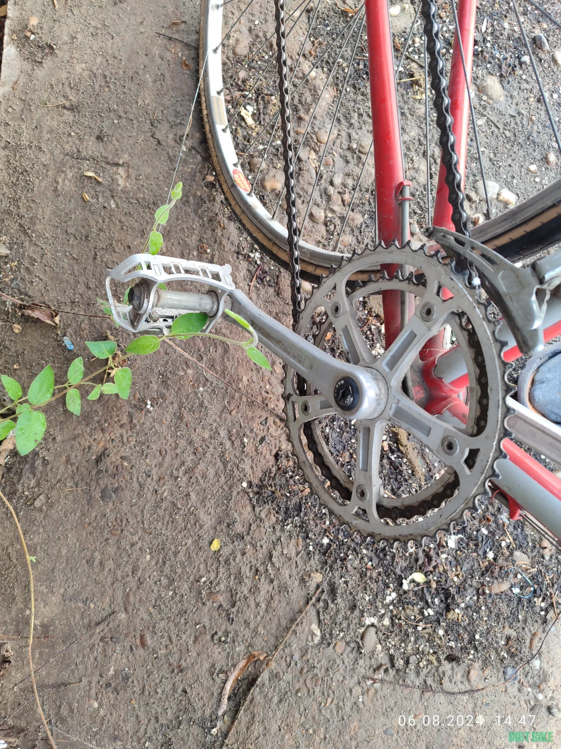 7. Vând cursiera Motobecane