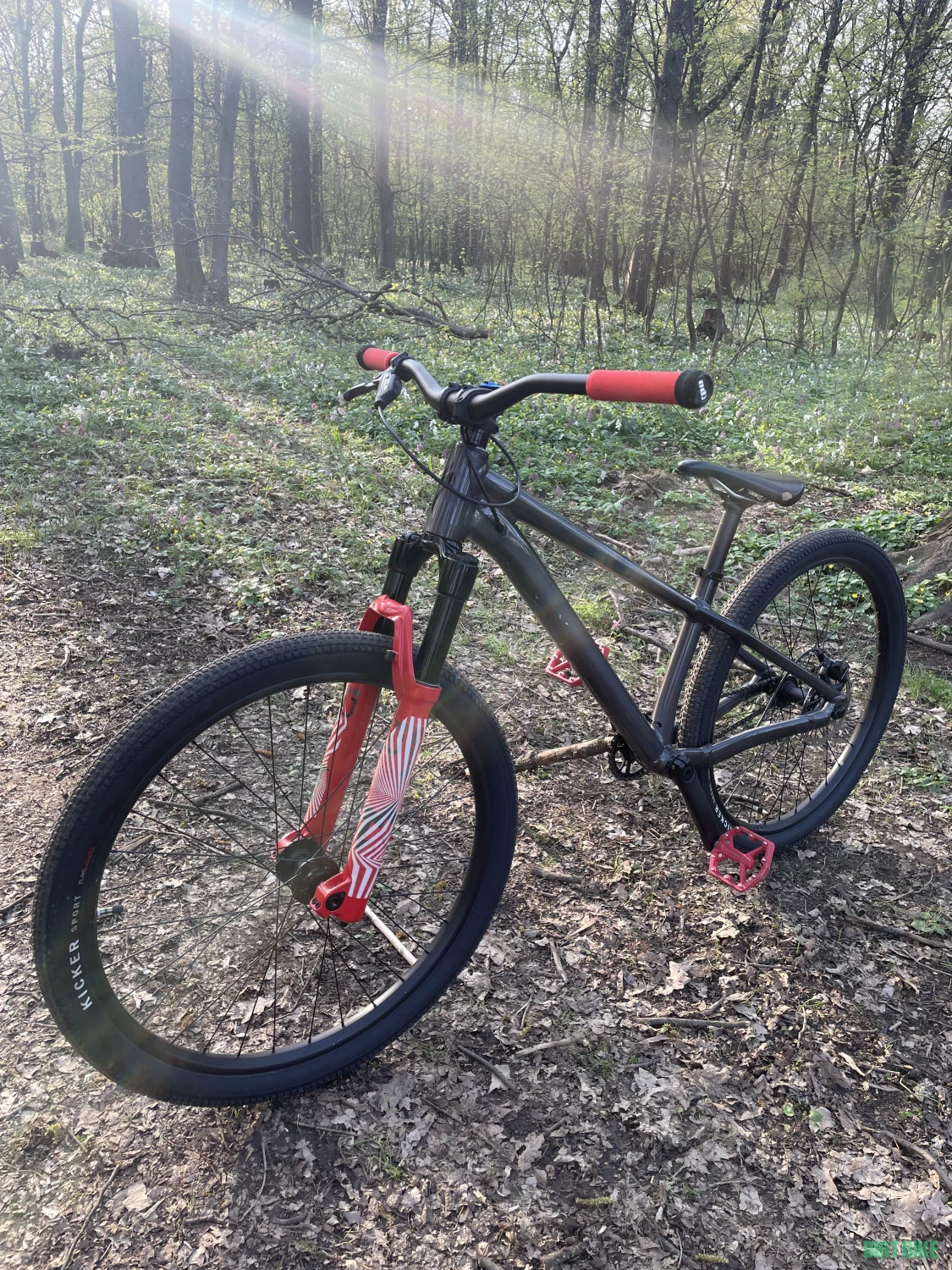 1. Specialized dirt jumper p3