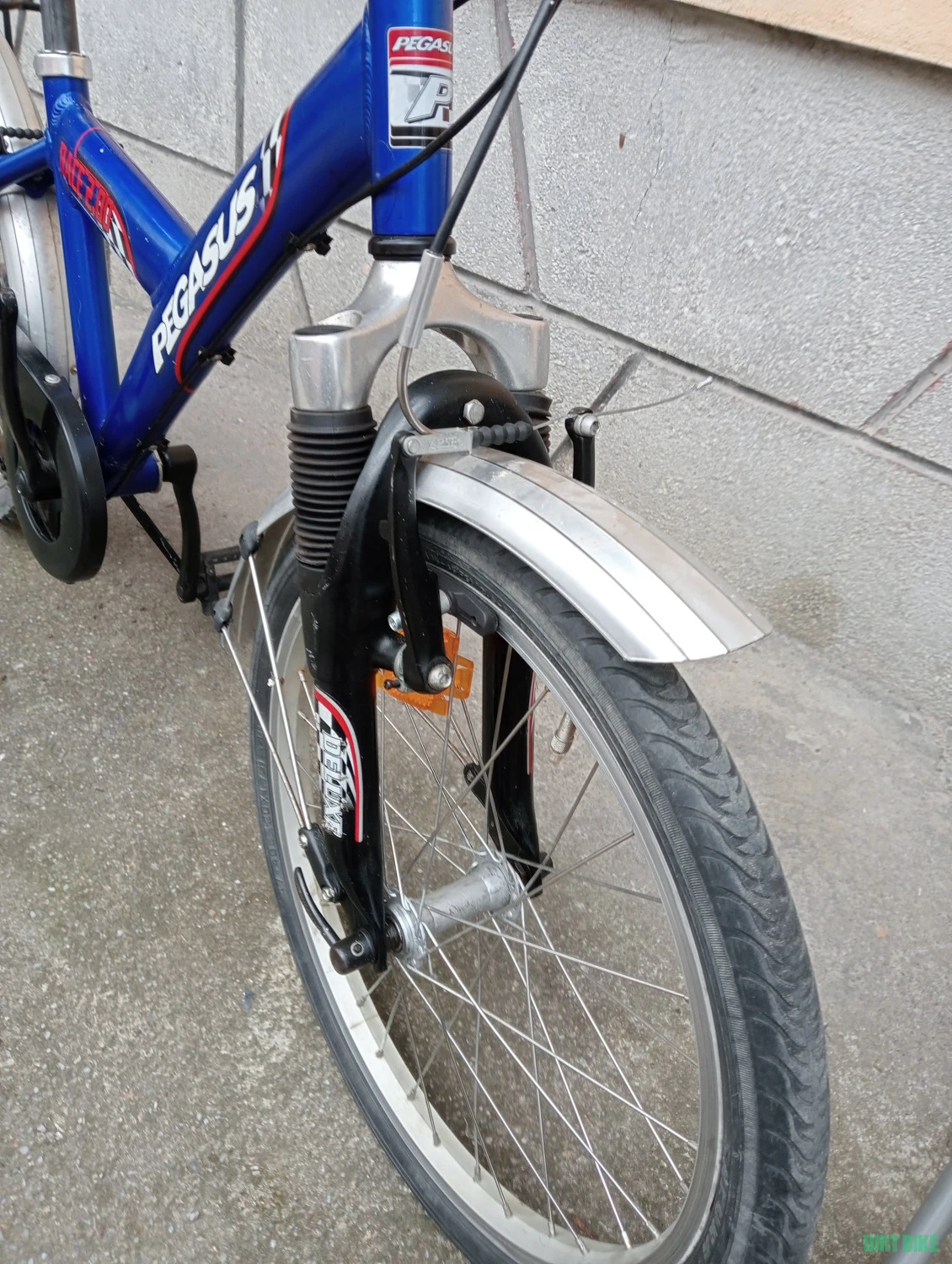 4. Bicicleta copii Pegasus Germania 3 viteze in butuc+ torpedou suspensie