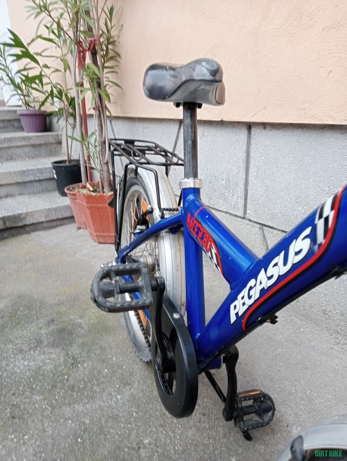 8. Bicicleta copii Pegasus Germania 3 viteze in butuc+ torpedou suspensie