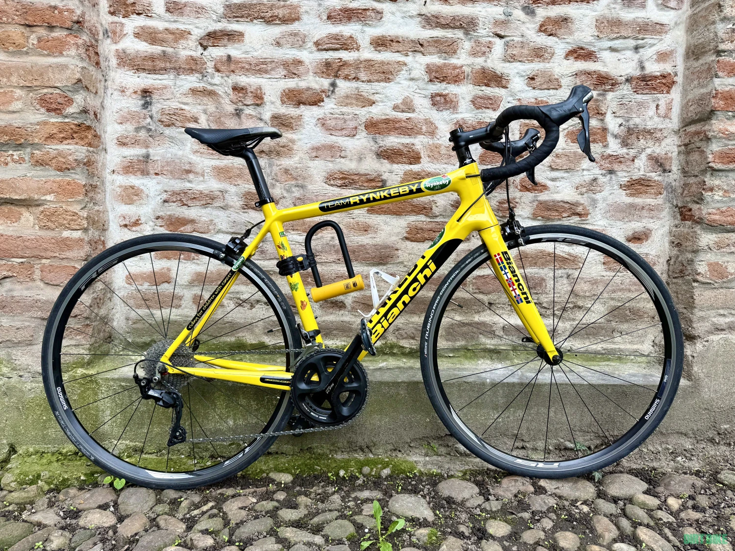 1. Cursiera Carbon Bianchi Team Rynkeby