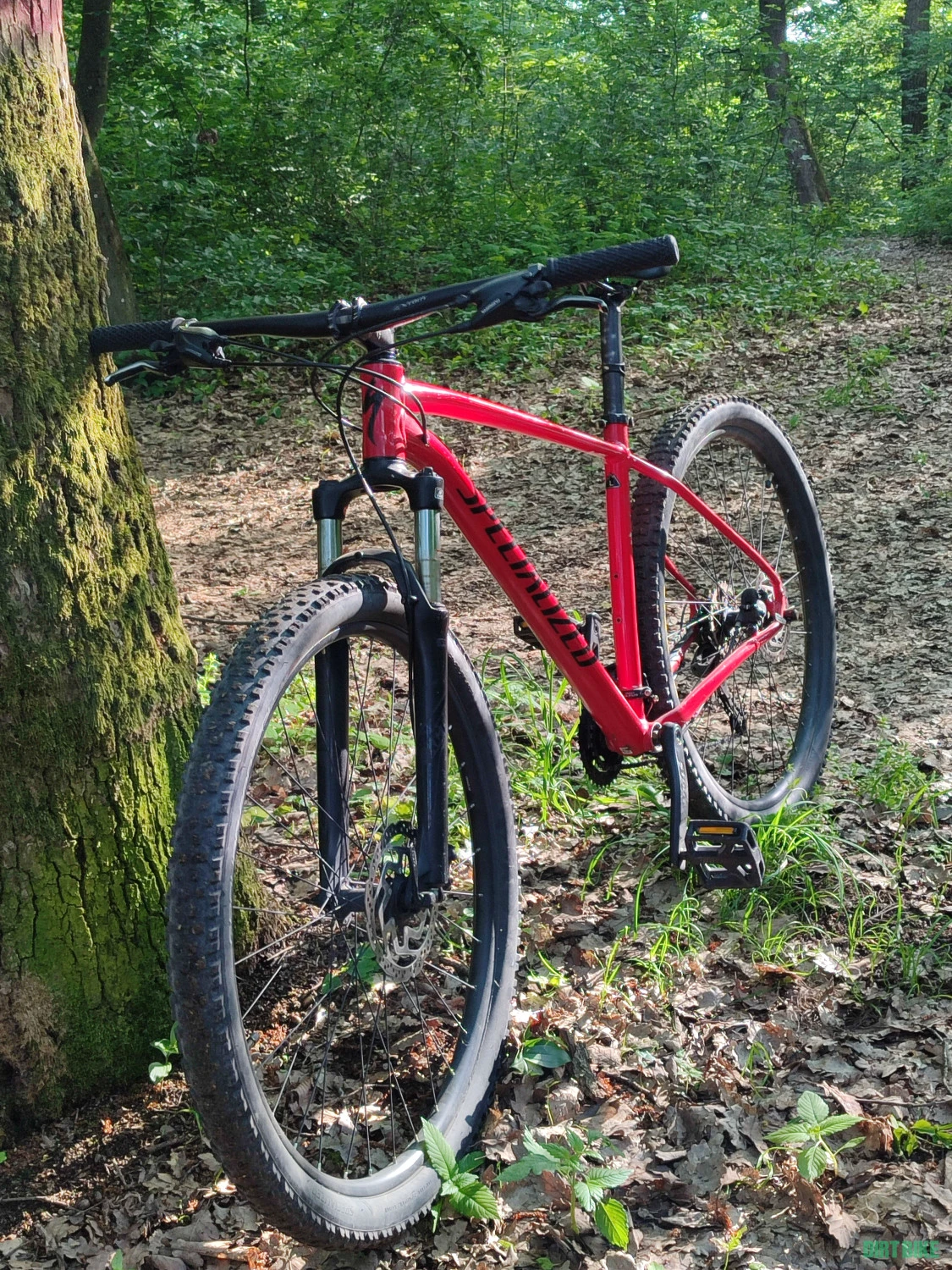 1. SPECIALIZED RockHopper L-29"