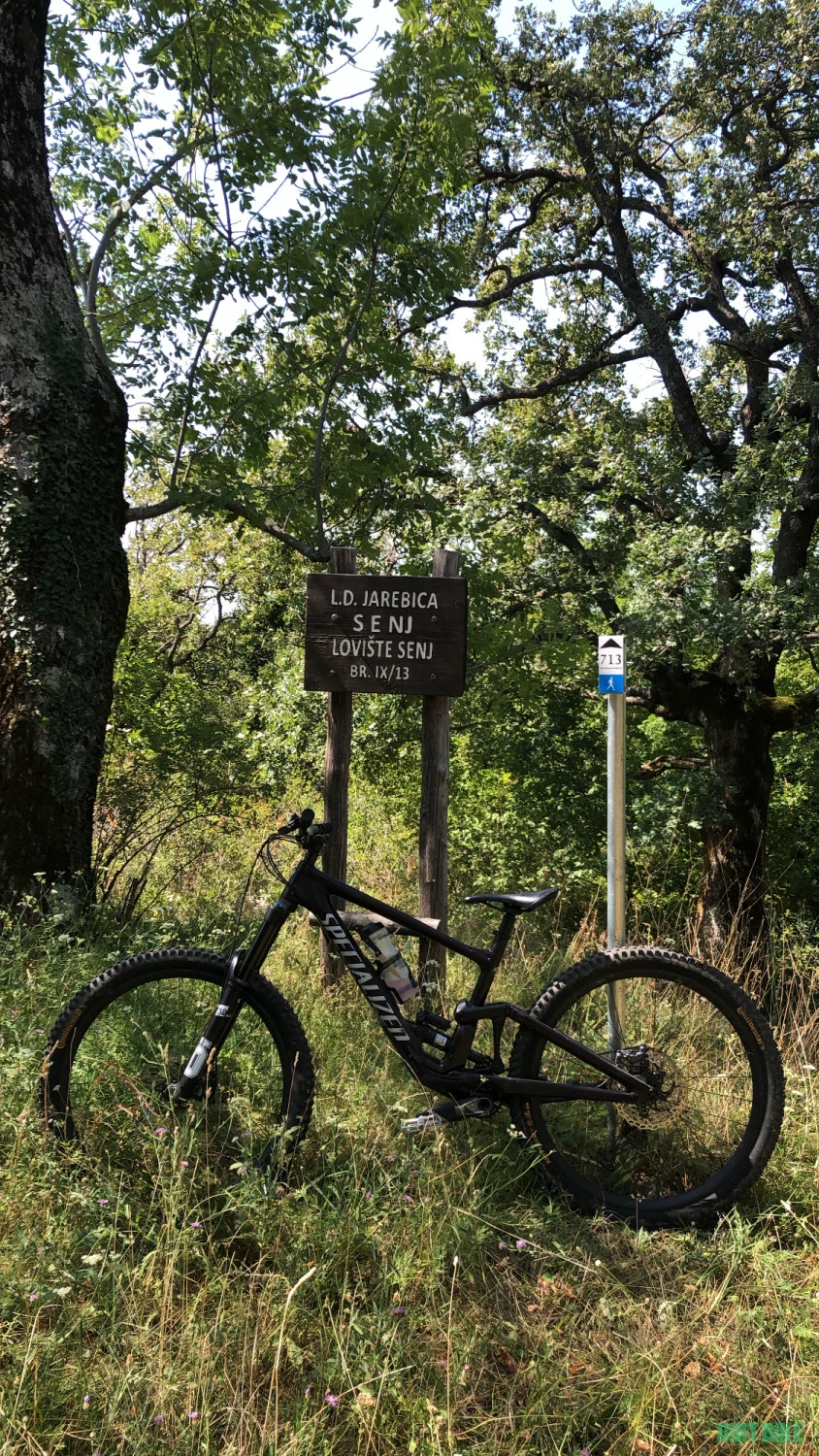 1. Specialized Enduro Expert S4