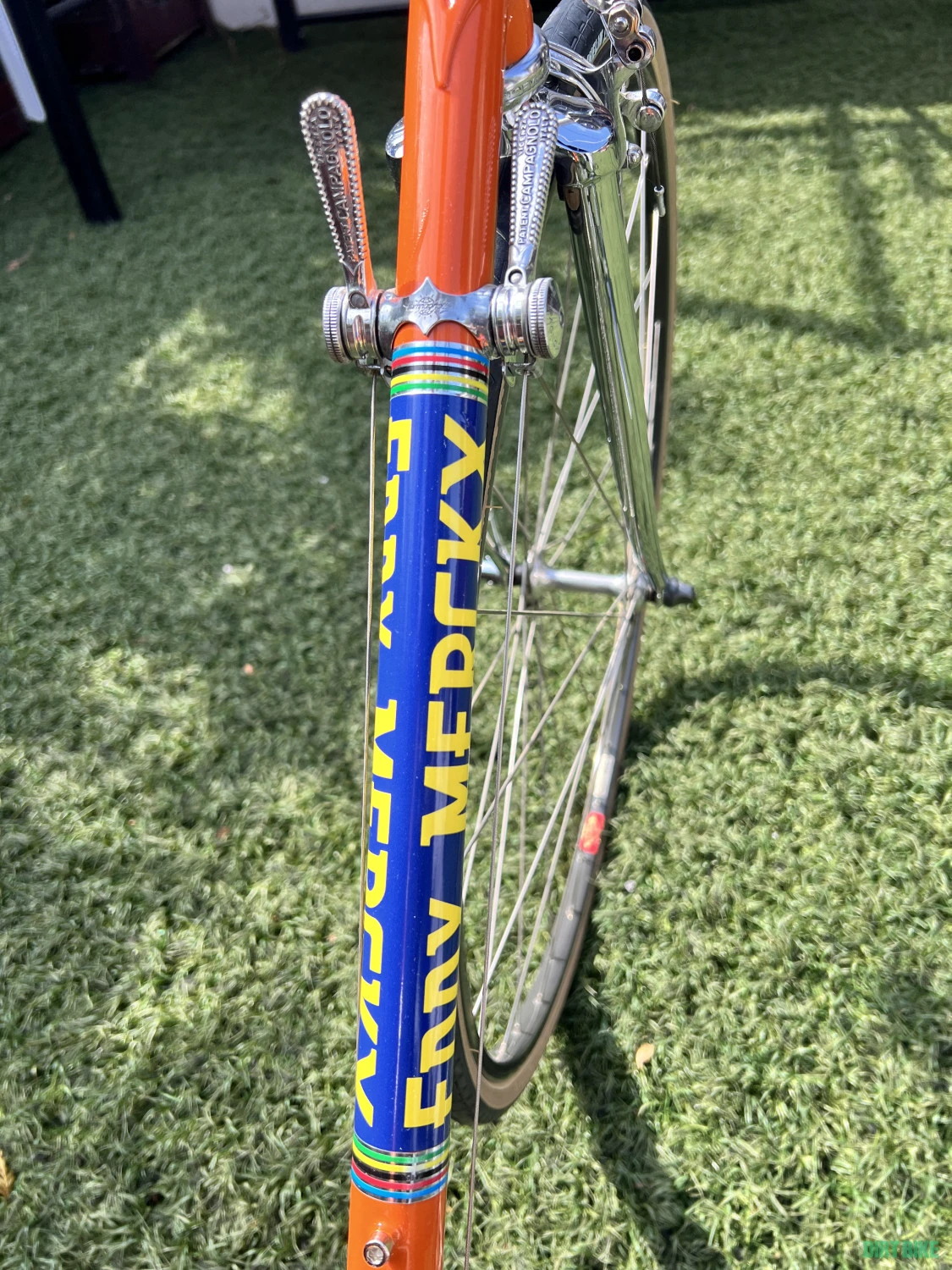 1. Cursiera Eddy Merckx Molteni Tribute 1976