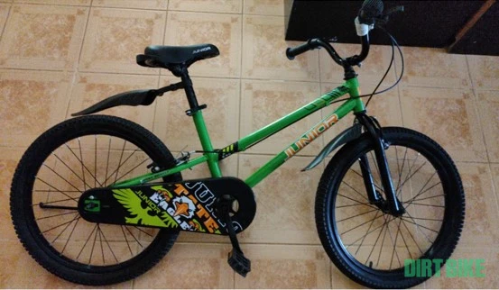 3. Bicicleta romaneasca 100%