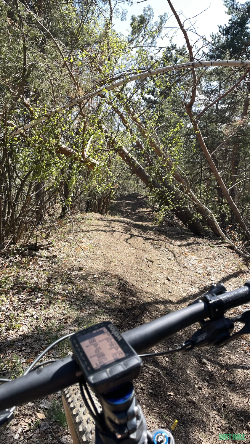 1. Vand mtb bun (test)