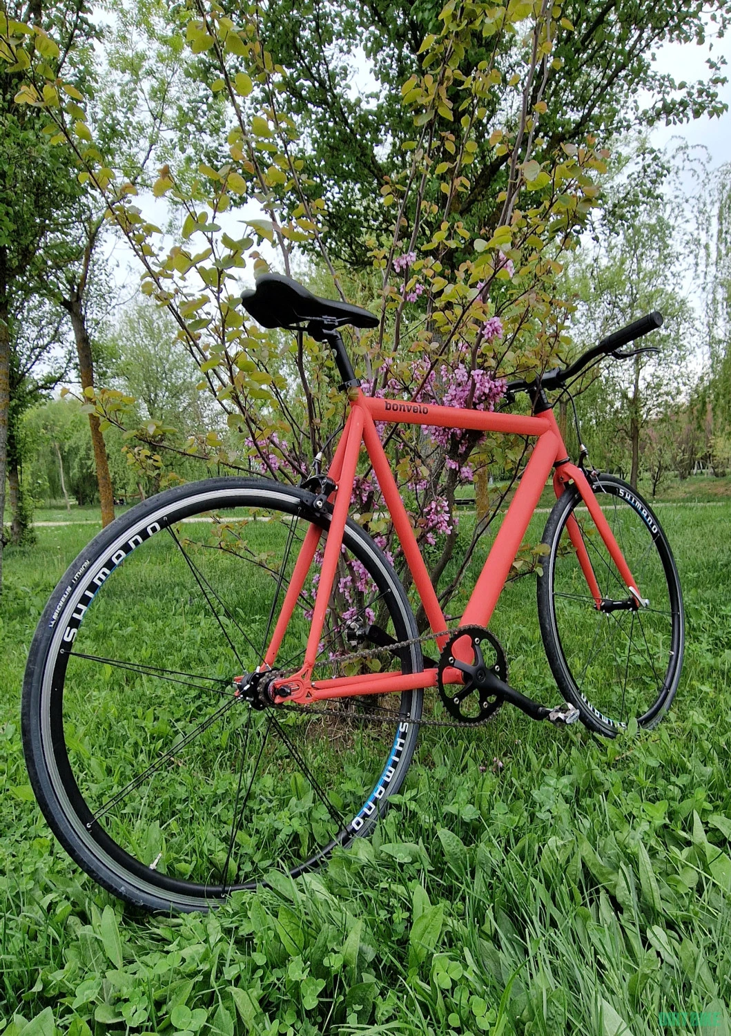 1. Bicicleta singlespeed Bonvelo